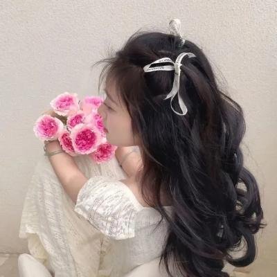 小委托人